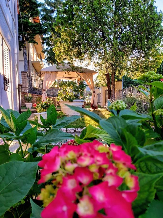 Villa Elvira Ambra Dış mekan fotoğraf