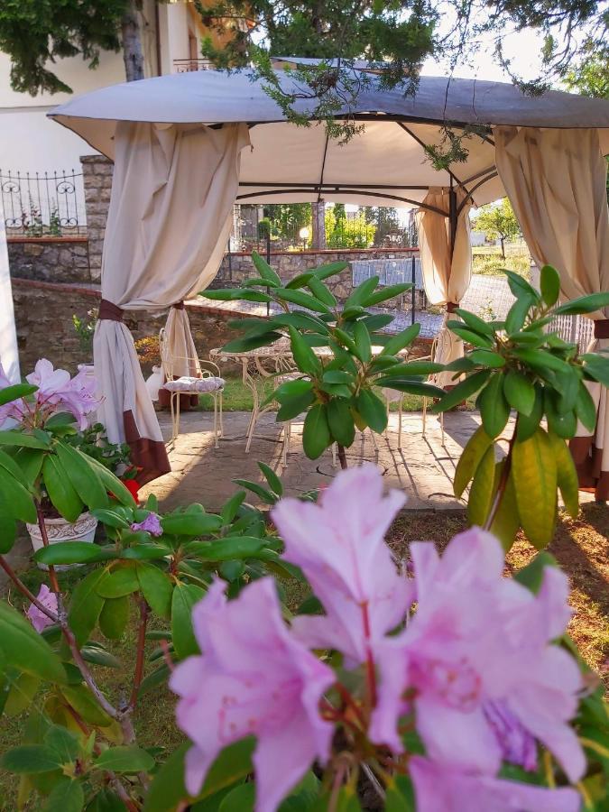 Villa Elvira Ambra Dış mekan fotoğraf