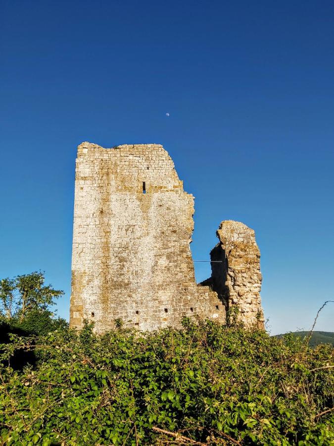 Villa Elvira Ambra Dış mekan fotoğraf