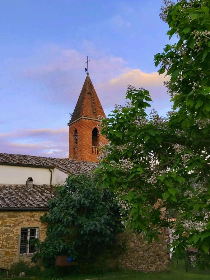 Villa Elvira Ambra Dış mekan fotoğraf