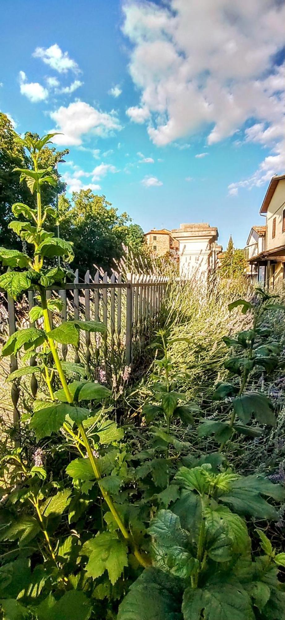 Villa Elvira Ambra Dış mekan fotoğraf