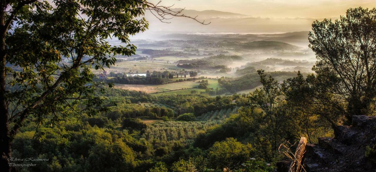 Villa Elvira Ambra Dış mekan fotoğraf
