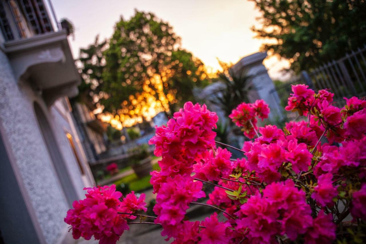 Villa Elvira Ambra Dış mekan fotoğraf